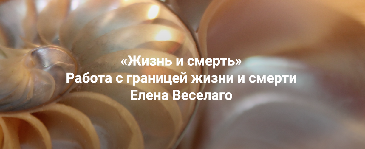 [Институт Открытого поля] Елена Веселаго → Жизнь и_0.png